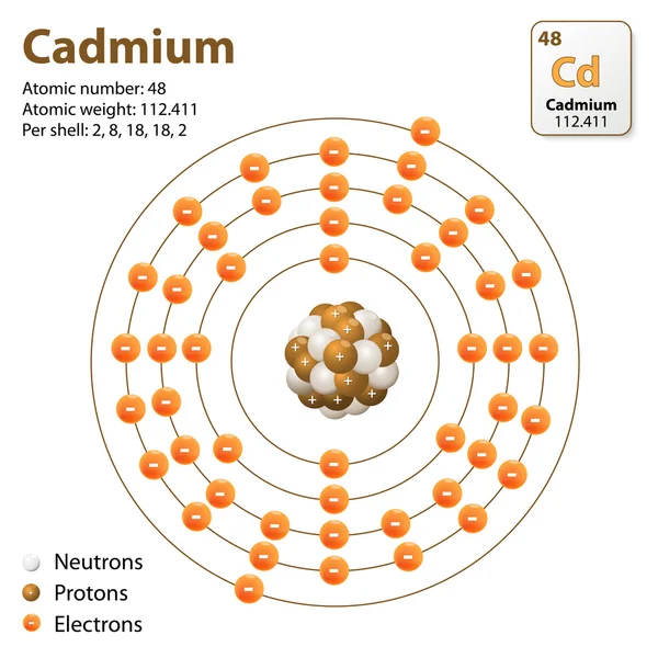 Atom kadmiyum. vektör diyagramı — Stok Vektör