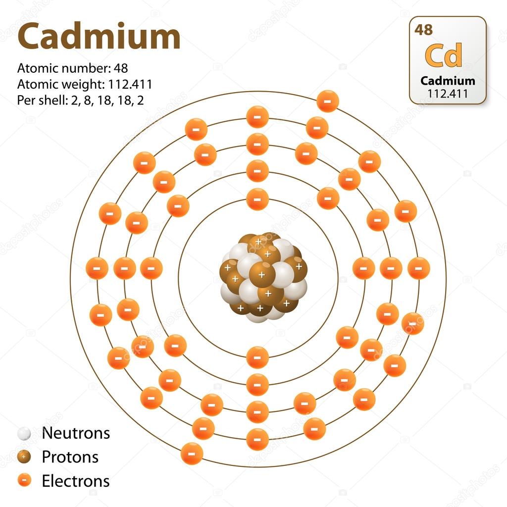 Atom Cadmium. vector diagram