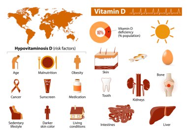 D vitamini Infographic