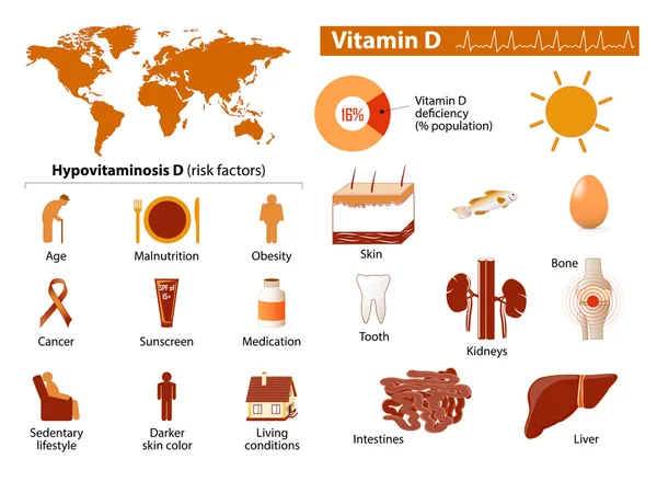 Infográfico de vitamina D — Vetor de Stock