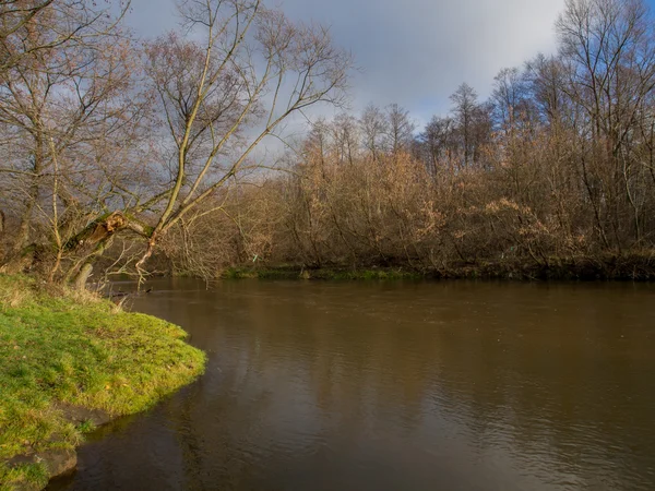 Őszi napsütés, a folyó közelében Otwock Swider — Stock Fotó