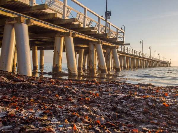 Muelle en el Mar Báltico durante el helado día de otoño —  Fotos de Stock