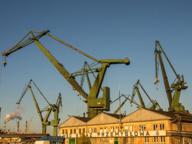 Baltık Denizi plaj şemsiyeleri toplama traktör kullanan adam