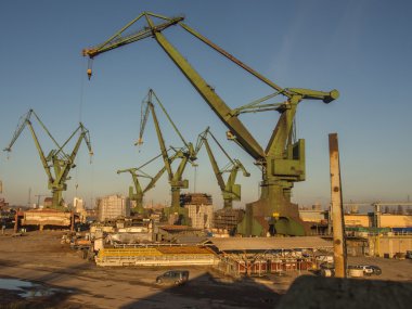 Baltık Denizi plaj şemsiyeleri toplama traktör kullanan adam