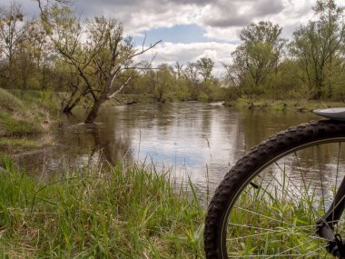 Ormanda Swider Nehri boyunca bisiklet yolu var.