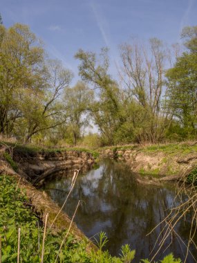 Polonya 'daki Vistula Nehri yakınlarındaki havuz.