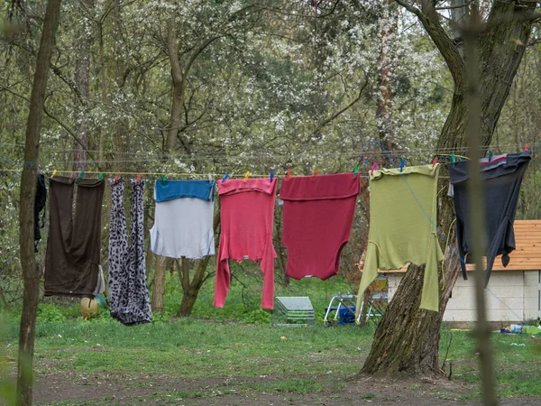 Färgglada Tvättkläder Torkning Trädgården — Stockfoto