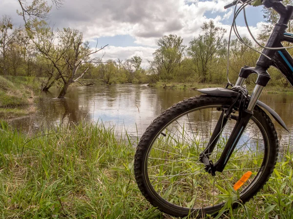 斯加弗河沿岸森林中的自行车道 — 图库照片