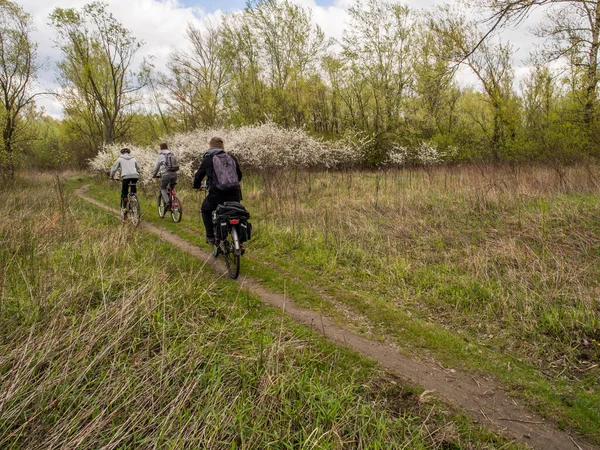 Cykelväg Skogen Längs Vistulafloden — Stockfoto