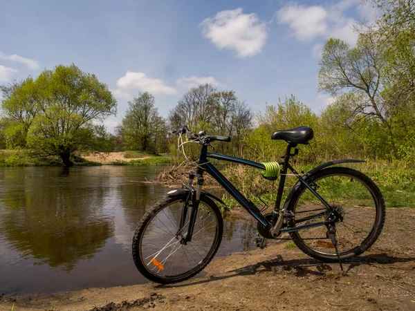 Cykelväg Skogen Utmed Swider River — Stockfoto