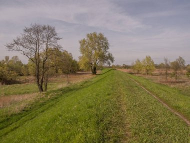 Karczew civarındaki Vistula Nehri boyunca bir sel bankası.