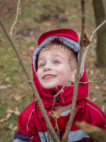 Niño Con Una Chaqueta Roja Bosque —  Fotos de Stock