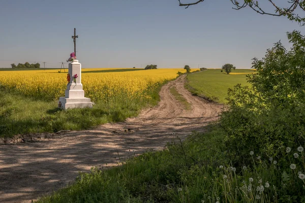 Polish Rapeseed Field Winding Road Spring Roadside Shrine — Zdjęcie stockowe