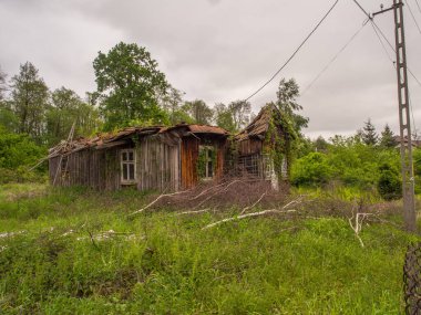 Köy, Polonya - 21 Mayıs 2017 Terk edilmiş, ahşap ev örtüsü Polonya köyündeki sarmaşıkla kaplı