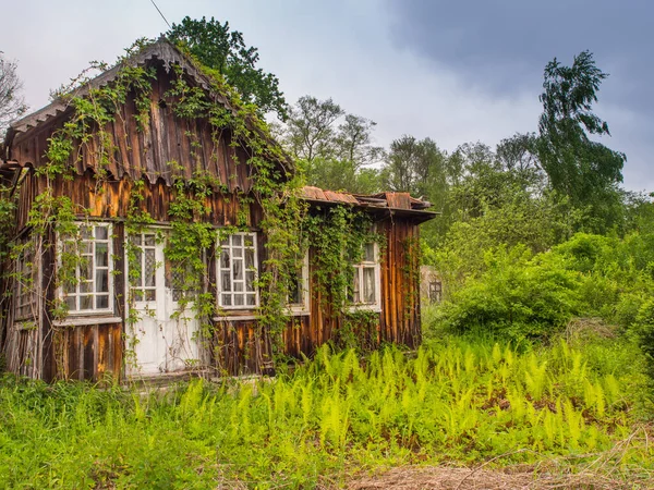 Village Polsko Května 2017 Opuštěný Dřevěný Domek Břečťanem Polské Vesnici — Stock fotografie