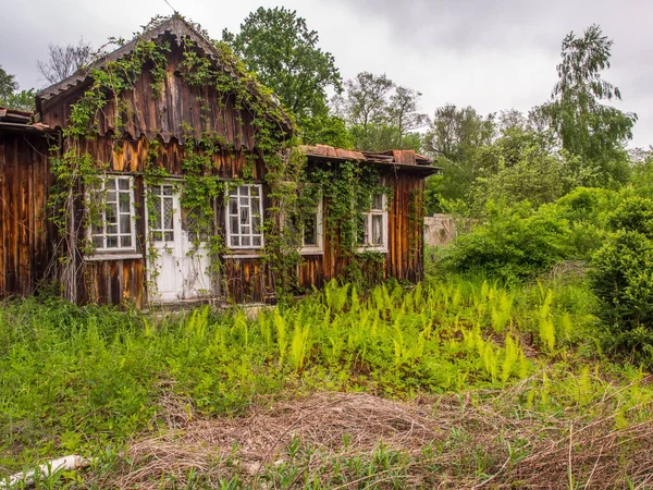 Village Pologne Mai 2017 Maison Abandonnée Bois Recouverte Lierre Village — Photo