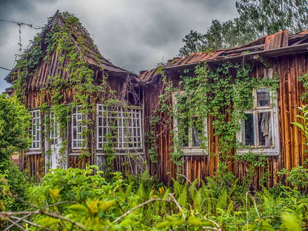 波兰村 2017年5月21日 废弃的木制房屋盖上了擦亮村的常春藤 — 图库照片