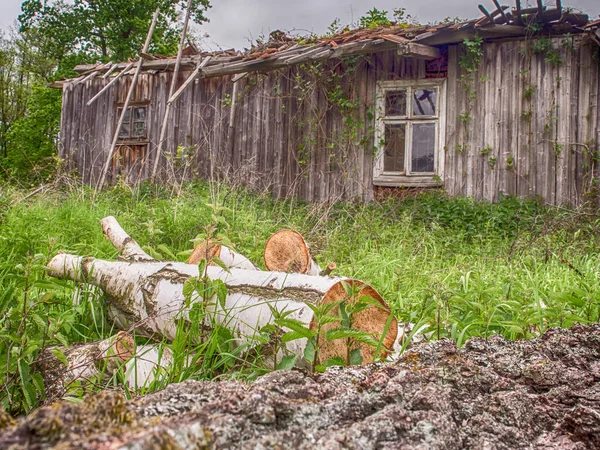 Village Polen Mai 2017 Verlassene Hölzerne Hauseindeckung Mit Efeu Polnischen — Stockfoto