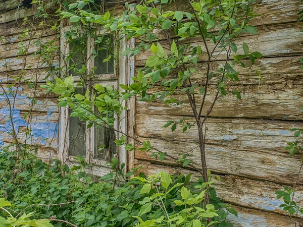 Village Polonia Mayo 2017 Ventana Cubierta Casa Vieja Madera Rota — Foto de Stock