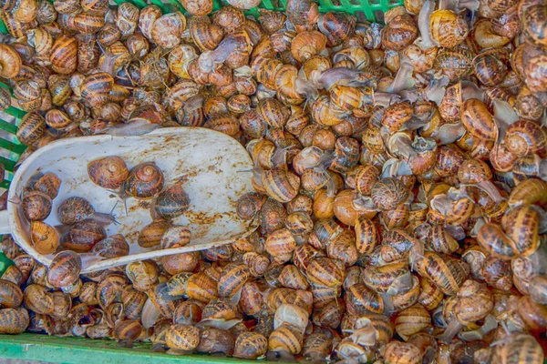 Atenas Grecia Abril 2015 City Market Stand Con Caracoles Frescos — Foto de Stock