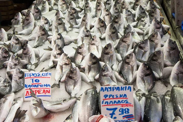 Atenas Grecia Abril 2015 City Market Stand Con Pescado Fresco — Foto de Stock