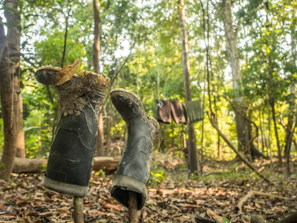 Wellingtons Shoes Wooden Sticks Summer Time Jungle Amazon — Zdjęcie stockowe