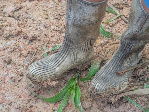 Man Standing Mud Long Wellington Boots Summer Time Jungle Amazon —  Fotos de Stock
