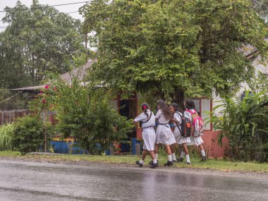 Ambon, Endonezya - 12 Şubat 2018: Şiddetli yağmurda okuldan dönen beyaz üniformalı çocuklar