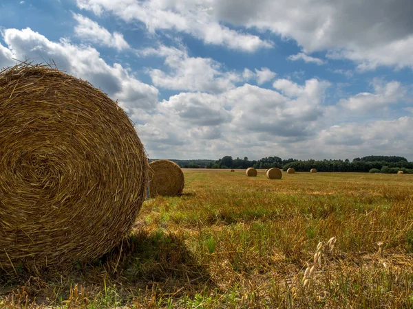 Big Bales Straw Organized Field — Stok fotoğraf