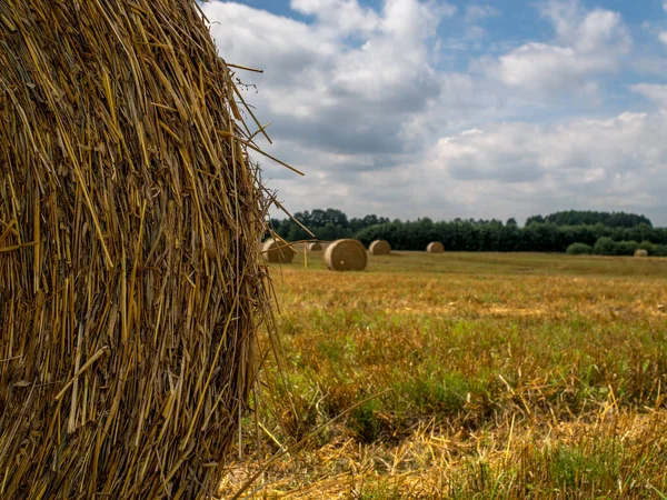 Big Bales Straw Organized Field — Stok fotoğraf