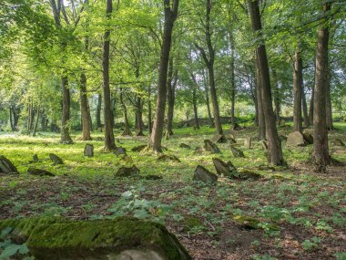 Dukla, Polonya - 17 Ağustos 2017: Dukla 'daki Yahudi Mezarlığı