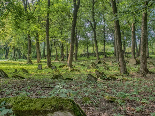 Dukla Polonia Agosto 2017 Cimitero Ebraico Dukla — Foto Stock