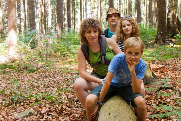 Famiglia e albero — Foto Stock