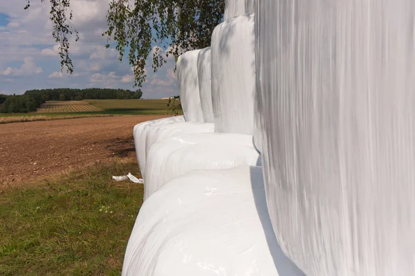 Compressed straw summer — Stock Photo, Image