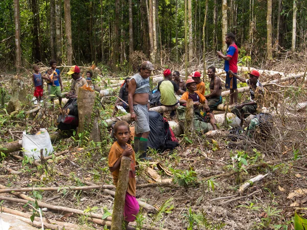 A selva — Fotografia de Stock