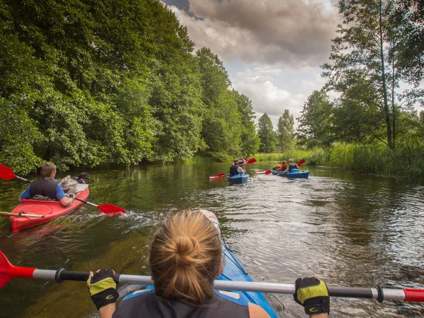 Le groupe de kayaks descendant la rivière entre les arbres renversés — Photo