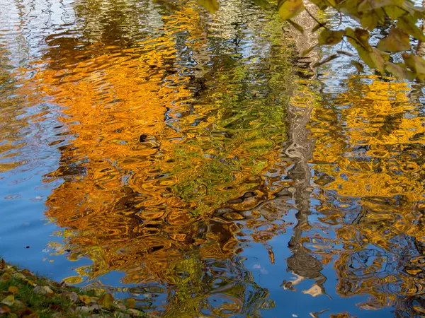 Reflejado en hojas de otoño coloridas en agua — Foto de Stock