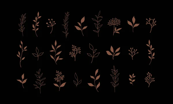 Набор Векторных Растений Трав Цветочные Элементы Ручной Работы Eps — стоковый вектор