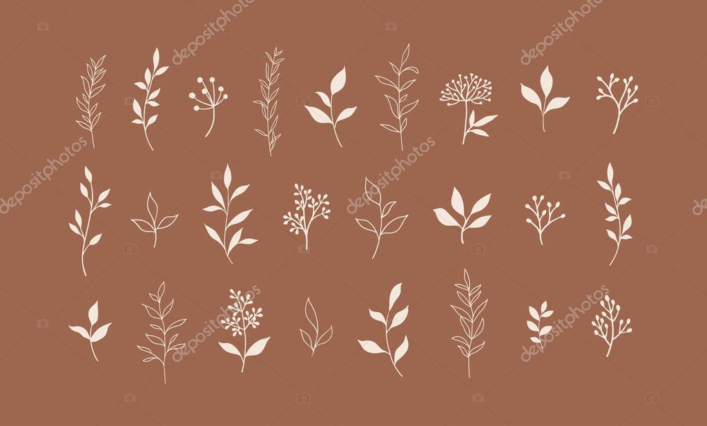 Set of vector plants and herbs. Hand drawn floral elements. EPS 10