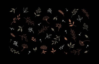 Vektör bitkiler ve bitkiler. El çizimi çiçek elementleri. EPS 10