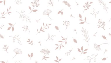 Bitkiler ve şifalı bitkilerle kusursuz bir desen. El çizimi vektör çizimi. EPS 10