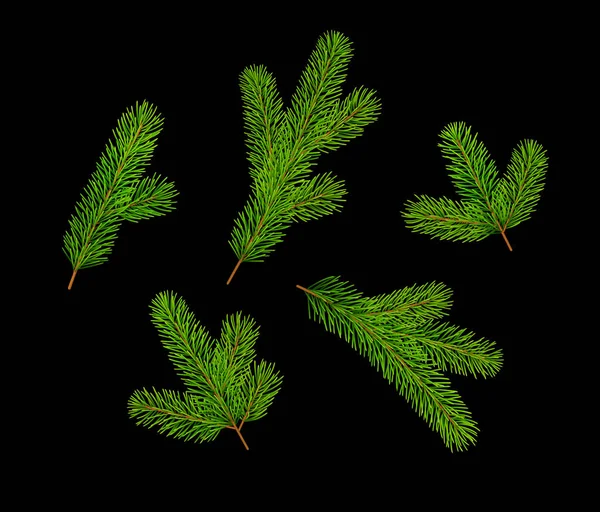 Set Van Kerstboom Dennen Takken Geïsoleerd Zwarte Achtergrond Vectorillustratie Eps — Stockvector