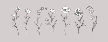 Otlar ve yabani çiçekler seti. El çizimi çiçek elementleri. Vektör illüstrasyonu, EPS 10.