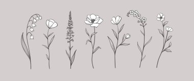 Otlar ve yabani çiçekler seti. El çizimi çiçek elementleri. Vektör illüstrasyonu, EPS 10.