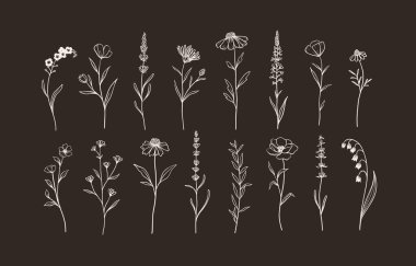 Otlar ve yabani çiçekler seti. El çizimi çiçek elementleri. Vektör illüstrasyonu, EPS 10.