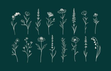 Otlar ve yabani çiçekler seti. El çizimi çiçek elementleri. Vektör illüstrasyonu, EPS 10.