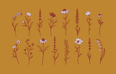 Otlar ve yabani çiçekler seti. El çizimi çiçek elementleri. Vektör illüstrasyonu, EPS 10.