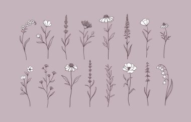 Otlar ve yabani çiçekler seti. El çizimi çiçek elementleri. Vektör illüstrasyonu, EPS 10.