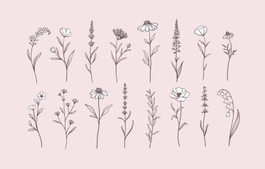 Otlar ve yabani çiçekler seti. El çizimi çiçek elementleri. Vektör illüstrasyonu, EPS 10.