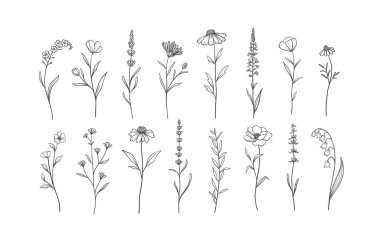 Set of Herbs and Wild Flowers. Hand drawn floral elements. Vector illustration, EPS 10. clipart